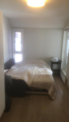 Penthouse sentralt i Oslo